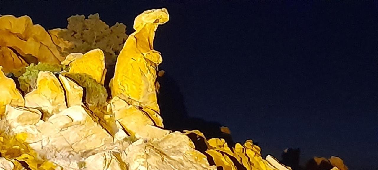 לינה וארוחת בוקר Sollacaro U Riposu Di A Cupulatta מראה חיצוני תמונה